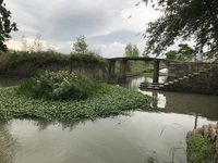 【走在鄉村振興的路上】千年潞村古橋頭 熱面一碗慰鄉愁