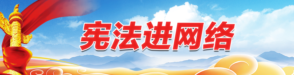 憲法進網絡