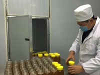圖片默認標題