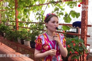 【新時代幸福美麗新邊疆】感受別樣民族風情 新疆伊寧“喀讚其”的美麗生活(視頻)_fororder_QQ截圖20180820115718