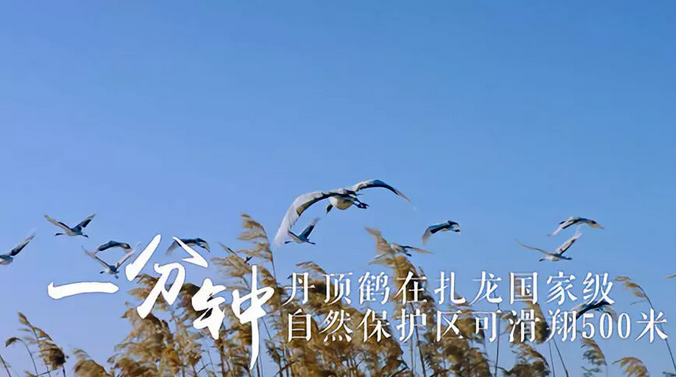 一分鐘，黑龍江會發生什麼？