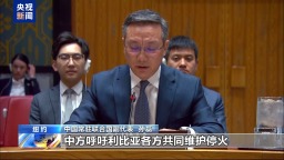 視頻丨中方呼籲國際社會支持利比亞推進政治過渡