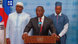 塞拉利昂總統：西共體願與薩赫勒地區國家共同反恐