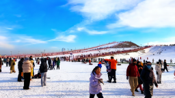 銀川文旅集團2026年元旦假期圓滿收官