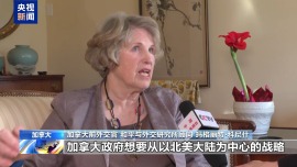 視頻丨學者:推進加中關係將為企業帶來機遇 兩國合作潛力巨大