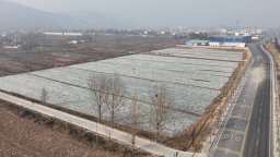 天水市甘谷縣六峰鎮攻堅整治撂荒地 “閒置地”向“增收田”蝶變