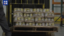 視頻丨政府“停擺”39天 美國民眾焦頭爛額