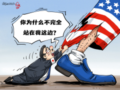 【國際漫評】一廂情願