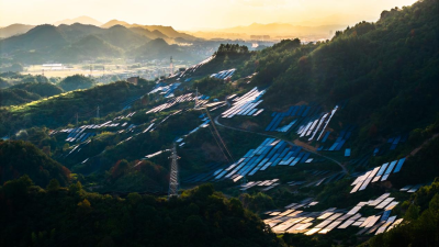 Zhejiang Quzhou: Temperature Drops, Efforts Remain Strong – Ensuring Stable Operation of Power Stations