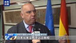 視頻丨西班牙專家：德國承認歷史罪行是積極舉措 而日本從未承認過真相