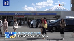 視頻丨日本政界人士：高市早苗應儘快撤回錯誤言論