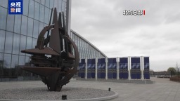 視頻丨專家：俄烏“和平計劃”應觸及衝突發生深層原因