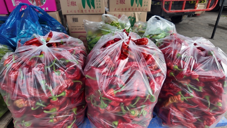 蘭州榆中高原夏菜：“甘味”引領全鏈升級 書寫西北振興答卷_fororder_e