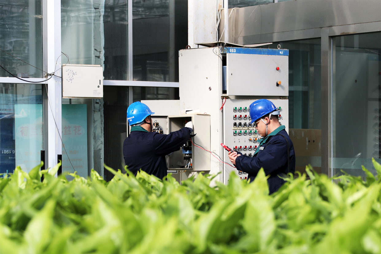 Xuchang, Henan: Reliable Power Supply Safeguards Growth of Rural Prosperity Industry Chains_fororder_圖片1