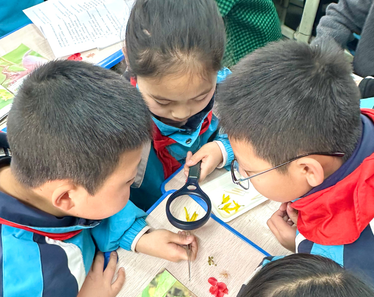 天水市秦安縣第五小學“三維推進”模式提升學生科學素養_fororder_開足開好科學課 (1)