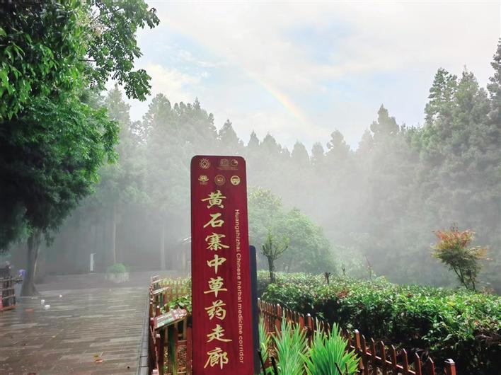 張家界：夏日雲海 壯麗浪漫_fororder_微信圖片_20250805091254