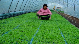 蚌埠市五河縣：立春將至農事忙