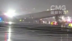 美國紐約一機場發生飛機與車輛相撞事故