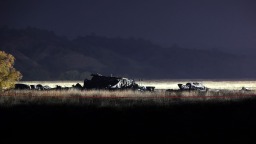 土耳其防長證實墜毀軍用運輸機上20人全部遇難_fororder_VCG111603404536