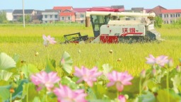 圖片默認標題