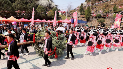 Miao Tiaohua Festival Held in Suoga Township, Liuzhi Special District, Liupanshui
