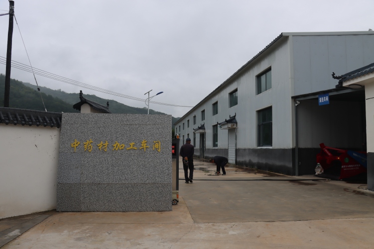 天水清水：精深加工延鏈聚勢 中醫藥産業穩步壯大_fororder_紅堡鎮李店村中藥材加工廠.JPG