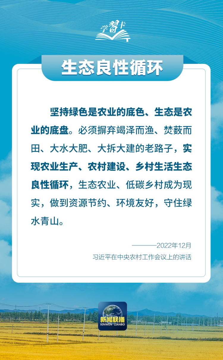 學習卡丨如何端穩端牢中國飯碗？總書記這樣闡釋