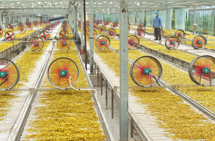 習近平總書記引領中國從脫貧攻堅邁向鄉村全面振興