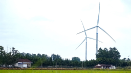 風車舞洞庭 “綠”自風中來——湖南首個規模化平原混塔風電項目投産