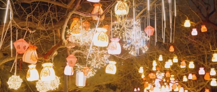 旅遊市場熱度高 入境消費潛力大——2026春節假期消費市場新觀察