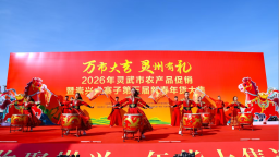 2026年靈武市農産品促銷暨崇興大寨子第五屆新春年貨大集圓滿落幕