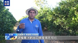 恐無奈讓水果爛在樹上 巴西果農憂心美加徵關稅衝擊
