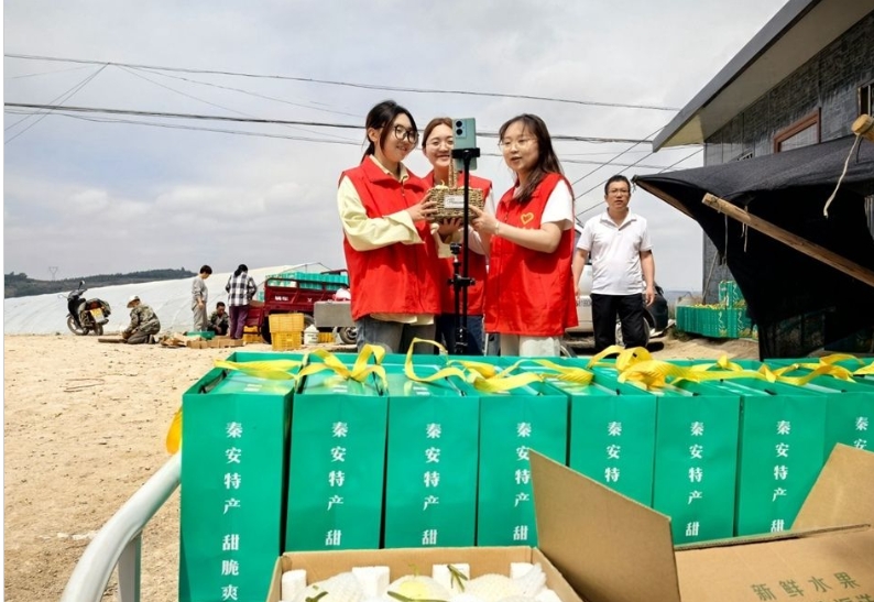 秦安千戶鎮：志願紅“採”摘甜蜜 助農共繪豐收畫卷_fororder_螢幕截圖_4-6-2025_103751_www.qinan.gov.cn