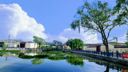 【甘快看】紅古：以“小縣大城”奔赴強省會大成