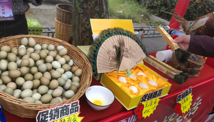 The 7th Wuhe Crab Festival Kicks Off: Using Crabs as a Medium to Paint a New Picture of Rural Revitalization_fororder_圖片7