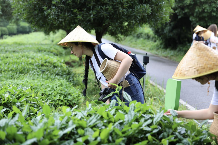 長沙理工大學舉辦黑山大學孔子學院“漢語橋”夏令營_fororder_圖片2