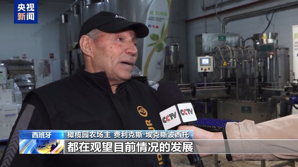 “面臨前所未有的壓力” 美國加徵關稅衝擊西班牙橄欖油出口