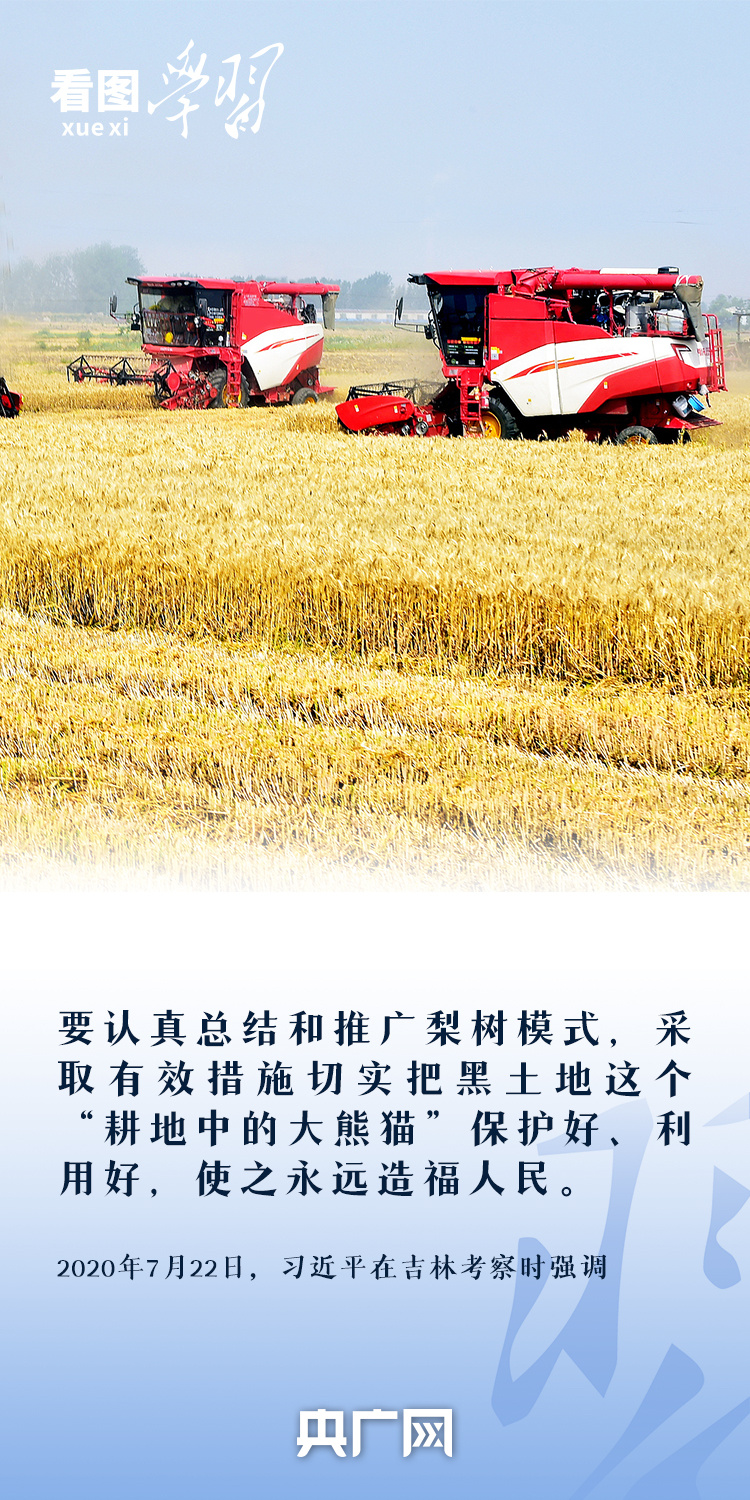 看圖學習丨“守住耕地這個命根子” 總書記心繫耕地保護