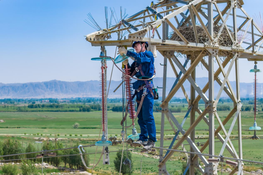 State Grid Zhangye Power Supply Company: Protecting Migratory Birds and Promoting Biodiversity_fororder_圖片6