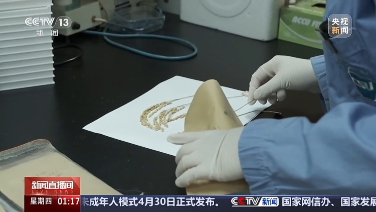中國空間站多項太空實驗已取得成果 未來將陸續開展千余項研究