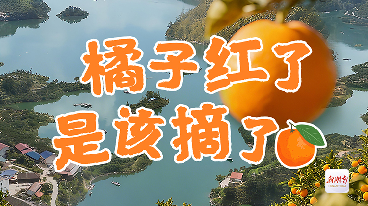 品亞運柑橘,賞千島湖景!10月26日一起到安化寶塔山組個“橘”_fororder_1