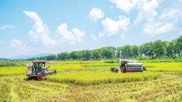湖南“雙搶”拉開序幕