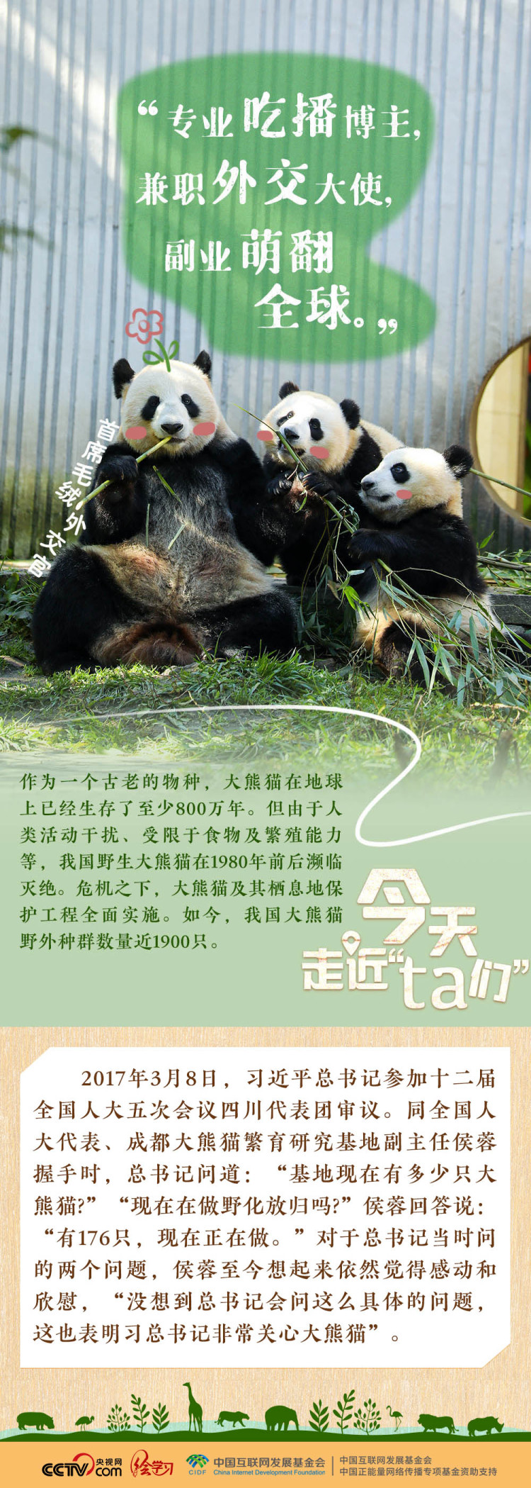 天天學習｜習近平特別關注的“TA們”