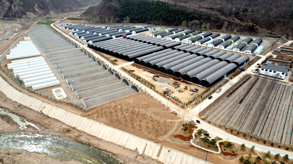 天水市清水縣：食用菌産業“多點開花”鄉村振興“菇”舞人心_fororder_DJI_0008_副本
