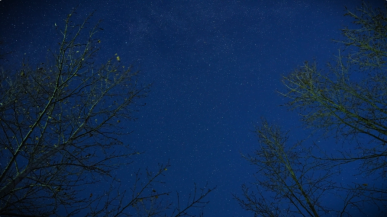 海拉爾夜空：星河垂落草原_fororder_QQ_1761790711098