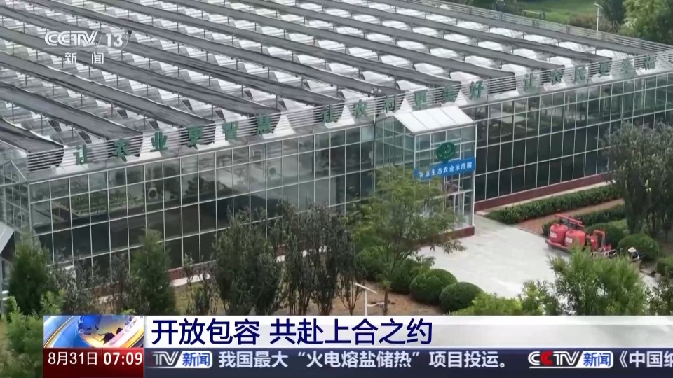 行走天津看上合丨聆聽開放包容的天津故事 共赴上合之約