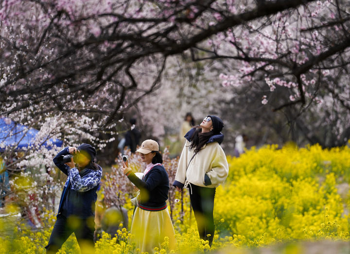 格桑花開映山河 團結奮進新征程——以習近平同志為核心的黨中央情係雪域兒女擘畫西藏發展紀實_fororder_2