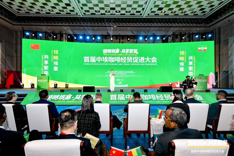 首屆中埃咖啡經貿促進大會在株洲舉行_fororder_mmexport65f83022f82a0f0ff720763feb0093e1_1766893357537