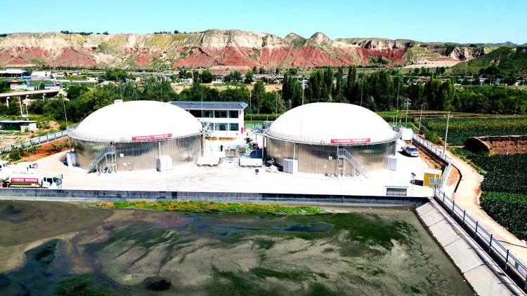 臨夏永靖:昔日“黃河灘”今朝“菜籃子” 湟水河畔的綠色“脈動”_fororder_6