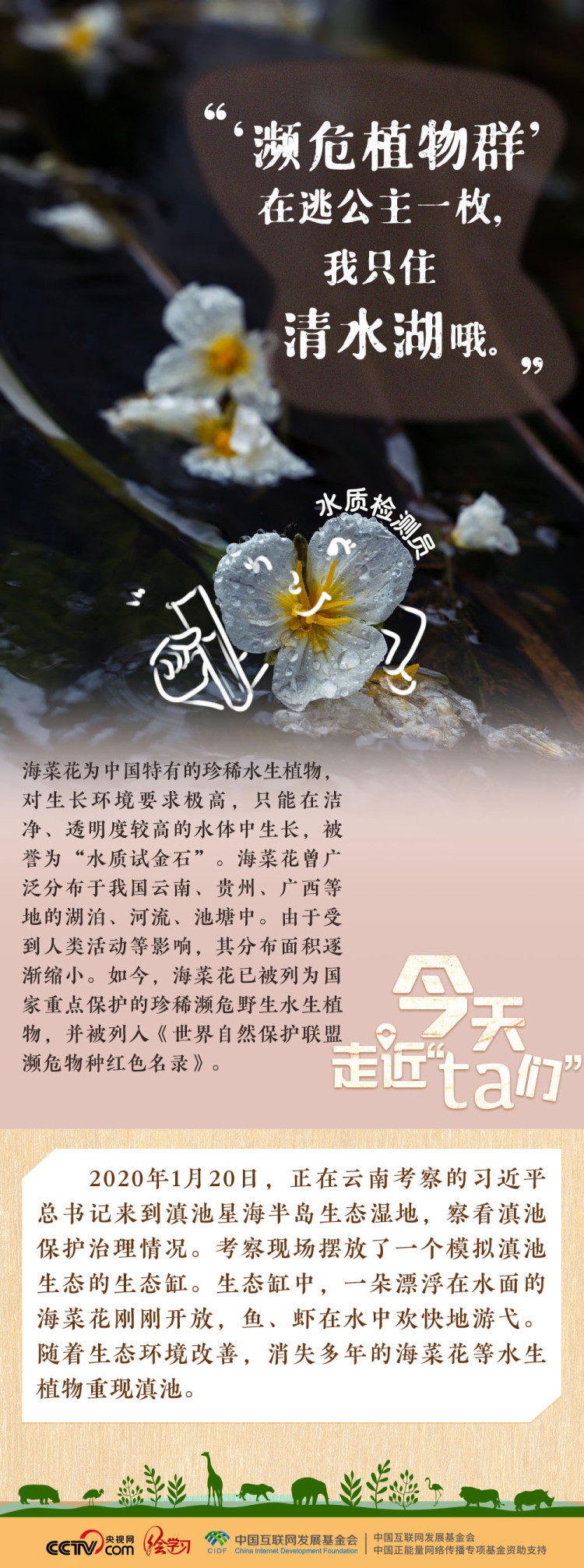 天天學習｜習近平特別關注的“TA們”